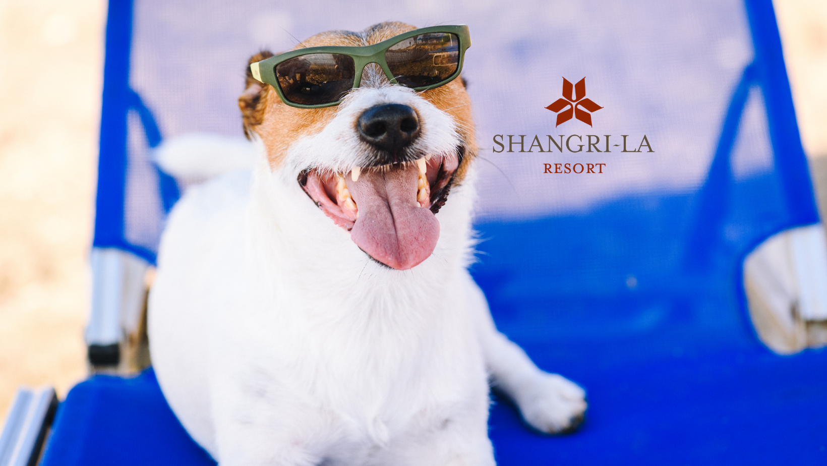 Shangri-La Resort is Pet Friendly