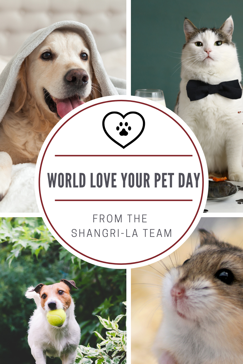Celebrate World Love Your Pet Day